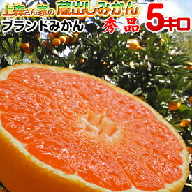 上森さん家の蔵出しみかん 【秀品】 5kg 和歌山県産 下津みかん 赤秀品 温州みかん 和歌山みかん 有田みかんとは一味違う 絶品みかんが2箱以上購入で送料無料 しもつみかん みかん ミカン 蜜柑 石積み階段園みかんシステム 石垣積み 世界農業遺産 世界遺産