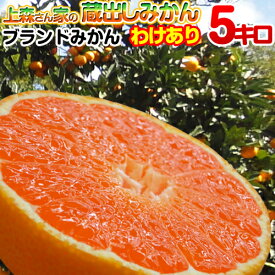 【わけありご家庭用】上森さん家の蔵出しみかん 5kg 温州みかん 高級ブランド 蔵出しみかん みかん 送料無料 和歌山県産 下津みかん 有田みかんとは一味違う しもつみかん 絶品みかんが2箱以上購入で送料無料 蜜柑 甘い 石積み階段園みかんシステム