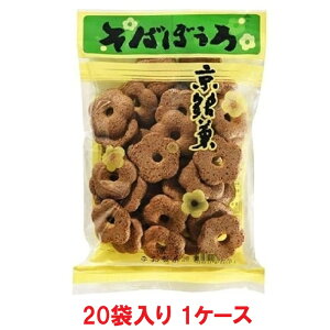 yza ΂ڂ 80gi20ܓ×1P[XjyܖF2026.04.04z