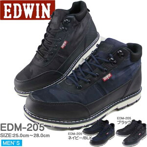 EDWIN GhEB h݌v gbLO oR JWA AEghAyEDM-205z