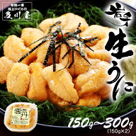 ウニ 塩水うに 【 岩手県産 生うに 300g・150g 】【 ご予約受付中 】 うに 塩水ウニ お取り寄せグルメ ム…