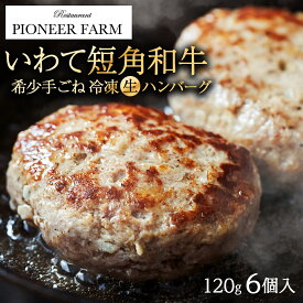 ハンバーグ いわて短角和牛 生冷凍ハンバーグ 6個入 送料無料 冷凍 食品 肉 牛肉 惣菜 お取り寄せ グルメ ギフト 美味しい パイオニアファーム 短角牛 お中元 御中元