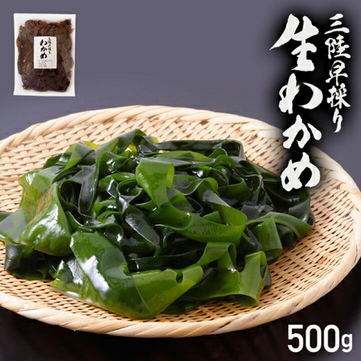 楽天市場 わかめ ワカメ 国産 三陸 早採り 生わかめ 500g 生ワカメ お取り寄せグルメ 産地直送 若芽 和布 岩手 海藻 海産物 秋鮭一番 極上 いくら の及川屋 楽天市場 わかめ ワカメ 国産 三陸 早採り 生わかめ 500g 生ワカメ お取り寄せグルメ 産地直送 若芽 和布 岩手 海藻 海産物 秋鮭一番 極上 いくら の及川屋