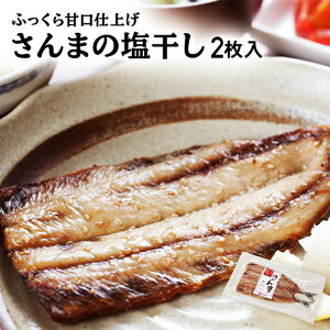 y|Cg5{z  T} ^pbN  y ܂̉ 2 z ܊   Ђ H  Dn O Y O 񂹃O  J BBQ 