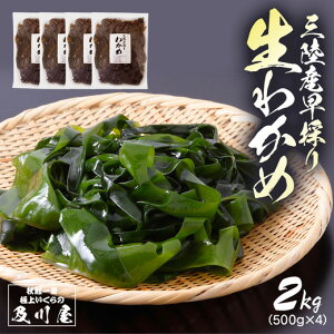 三陸 生わかめの人気商品 通販 価格比較 価格 Com