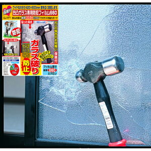 �h�� �� �K���X�t�B���� �h�� �t�B���� �K���X�j�� �h�~�V�[�g ���ʃK���X��p 42×60cm 1���� �󂫑� �΍� �O�b�Y