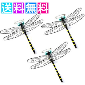 ɂ܌N Ss 悯 Ki   Au { 3