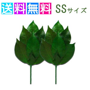  vU[uht[  d _I _   { OgY  SSTCY