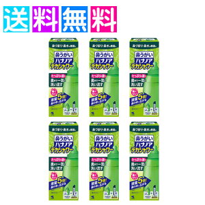 ハナノア デカシャワー 鼻うがい 鼻づまり 鼻水 鼻洗浄 専用洗浄液 小林製薬 6個セット