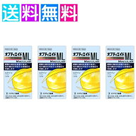 オプティエイドML わかもと製薬 4個 目 サプリメント 眼 アイケア 疲れ ルテン