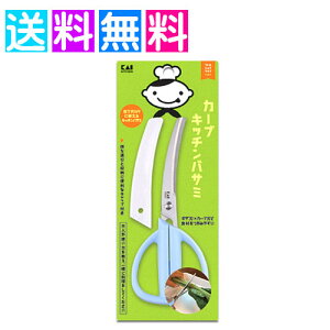 J[uLb`oT~ gVFtNu L q ͂ 