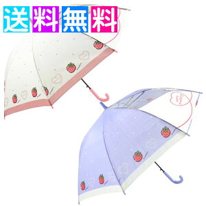 q P 55cm ̎q w qp LbY P   t[cC  킢