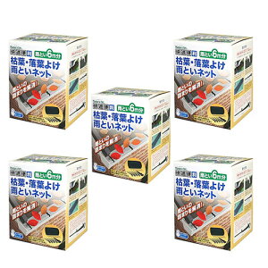 Jǂ l܂ JƂlbg ͗t t悯 6m 5 mebN