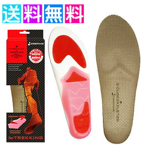 \{ C\[ Ro gbLOV[Y oRC C\[ \{ S-CUBE XPg gbLO Ռz ~ Y fB[X 