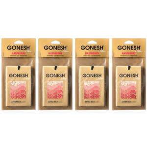 �K�[�l�b�V�� �G�A�t���b�V���i�[ �� �F���� �݂艺 GONESH �G�A�[�t���b�V���i�[ �J�[�t���b�V���i�[ �n���M���O�G�A�t���b�V���i�[ ���Y�x���[ RASPBERRY 4��
