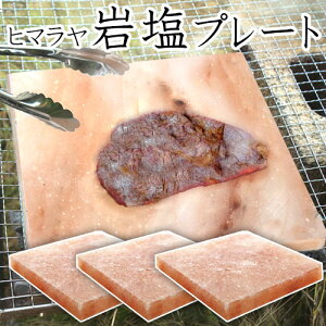 ≖v[g q}≖ 3 o[xL[ BBQ AEghA 18×18cm
