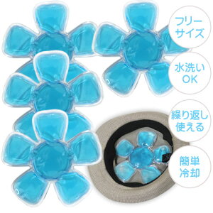 N[pbh Xq wbhN[ q ACX wbhN[[ Ђpbh M 4