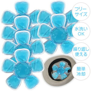 N[pbh Xq wbhN[ q ACX wbhN[[ Ђpbh M 6