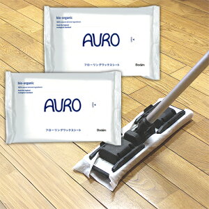 AE auro bNXV[g 10×2  bNX t[O VR bNX V[g