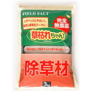 除草剤 子供の人気商品 通販 価格比較 価格 Com
