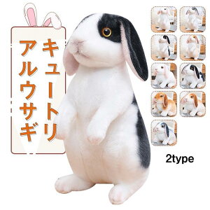 ʂ e ETM A CeA 킢 z[hbv  NX}X VNj aMtg