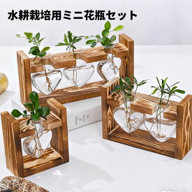 水耕栽培花瓶 ガラス花瓶 木製花瓶スタンド 卓上花瓶 植物栽培ガラス 水栽培容器 ハイドロカルチャー 丸形 ダイヤモンド形 ハート形 インテリア 1個 2個 3個