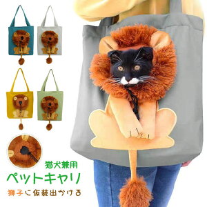 L[obO ybg ybgg[gobO ^ L g[gL[  q  V_[obO YbN Jo Ck lR ^ lC ybgL nEB obO o|