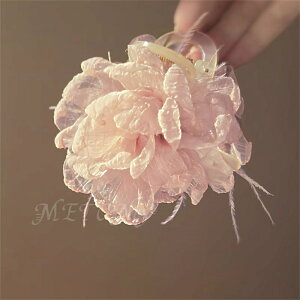 oXNbv   wAANZT[   VNN  t EFfBO Ԍ p[eB[ \  Vv 傫 EFfBO s r[` l w l 