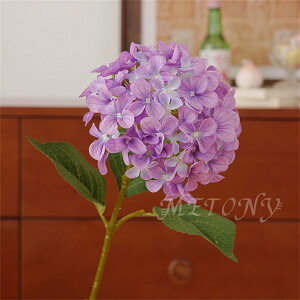 5{Zbg tFCNt[  ԑ AWTC t[AWg ͂Ȃ X^fBO  u[P z CeAt[ A[eBtBVt[ CeA  