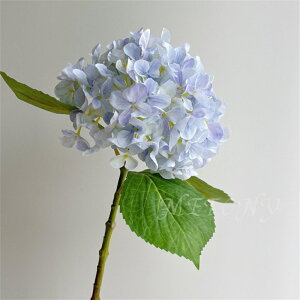 5{Zbg tFCNt[  ԑ AWTC t[AWg ͂Ȃ X^fBO  u[P z CeAt[ A[eBtBVt[ CeA  