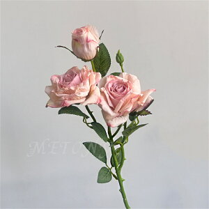 5{Zbg 10{Zbg tFCNt[  ԑ CeA o [Y t[ u[P AW o[Xf[ EFfBO Be CeA j zCgf[ ̓ ̓ 