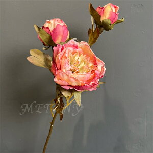 5{Zbg tFCNt[  ԑ CeA {^ O t[ u[P AW o[Xf[ EFfBO Be X  CeA j zCgf[ ̓ ̓ 