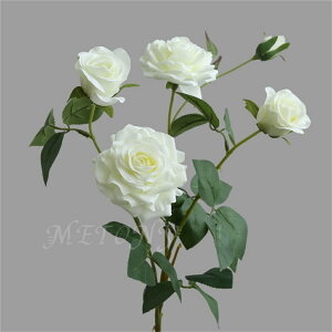 5{Zbg 10{Zbg tFCNt[  ԑ CeA o REVo [Y t[ u[P AW o[Xf[ EFfBO Be CeA X  j zCg