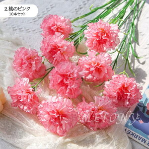 10{Zbg tFCNt[  ԑ J[l[V t[AWg CeA ̓ v[g t[ u[P o[Xf[ j zCgf[ ̓ ̓ j