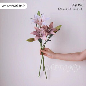 3{Zbg   t[AWg  _A  S CeA v[g Mtg  dp@ 蕨 j LO  Ԃ ̓Q ͂Ȃ tF