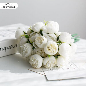 u5Zbgv tFCNt[  ԑ {^ t[AWg t[AWg CeA t[ u[P o[Xf[ j zCgf[ BeObY LO E