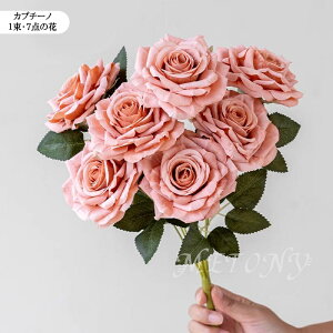 u3{Zbgv tFCNt[  ԑ [Yu[P  ԑ  u[P t[AWg KN [Y o CeAt[ A[eBtBVt[ CeA 