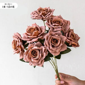 u3{Zbgv tFCNt[  ԑ [Yu[P  ԑ  u[P t[AWg KN [Y o CeAt[ A[eBtBVt[ CeA 