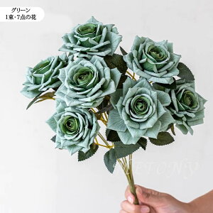 u3{Zbgv tFCNt[  ԑ [Yu[P  ԑ  u[P t[AWg KN [Y o CeAt[ A[eBtBVt[ CeA 