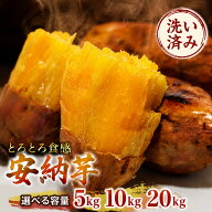安納芋 安納とろとろ 洗い さつまいも 宮崎県産 送料無料 5kg 10kg 20kg S M L 2L サイズ選べる あんのう…
