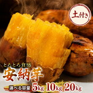 安納芋 安納とろとろ 土付き さつまいも 宮崎県産 送料無料 5kg 10kg 20kg S M L 2L サイズ選べる あんの…
