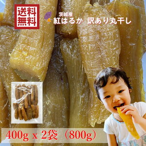 yz錧Y g͂邩  󂠂 ۊ400gx2 Y Y i_ nق