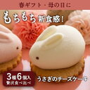 【母の日・SNS話題】うさもっち 6個ボックス｜送料無料 かわいい スイーツ チーズケーキ 大福 餅 個包装 おしゃれ 高…
