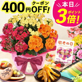 ＼緊急配布★400円クーポン／ 敬老の日 ギフト プレゼント まだ間に合う 人気 花 生花 鉢植え 鉢花 アザレア スイーツ ベゴニア カランコエ どら焼き お菓子 和菓子 洋菓子 花とお菓子 60代 70代 80代 90代 おじいちゃん おばあちゃん 孫 送料無料 oimoya