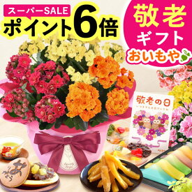 ＼本日23:59まで★ポイント6倍／ 敬老の日 ギフト プレゼント まだ間に合う 人気 花 生花 鉢植え 鉢花 アザレア スイーツ ベゴニア カランコエ どら焼き お菓子 和菓子 洋菓子 花とお菓子 60代 70代 80代 90代 おじいちゃん おばあちゃん 孫 送料無料 oimoya