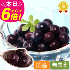 ＼本日23:59まで★ポイント6倍／ 冷凍ブルーベリー 国産 無農薬 600g 1.2kg 2.4kg ブルーベリー 冷凍 冷凍フルーツ フルーツ 果物 くだもの 無添加 農薬不使用 静岡 1kg 2kg 1キロ デザート スイーツ シャーベット スムージー 最強翌日配送 おいもや