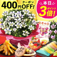 ＼緊急配布★400円クーポン／ 敬老の日 ギフト プレゼント まだ間に合う 人気 花 生花 鉢植え 鉢花 りん…