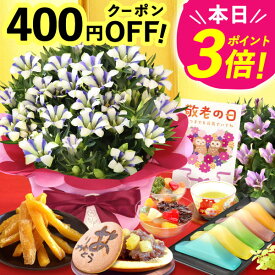 ＼緊急配布★400円クーポン／ 敬老の日 ギフト プレゼント まだ間に合う 人気 花 生花 鉢植え 鉢花 りんどう 竜胆 どら焼き 干し芋 芋けんぴ ようかん あんみつ スイーツ お菓子 和菓子 花とお菓子 60代 70代 80代 90代 おじいちゃん おばあちゃん 孫 送料無料 おいもや