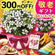 ＼緊急配布★300円クーポン／ 敬老の日 ギフト プレゼント まだ間に合う 人気 花 生花 鉢植え ようかん …