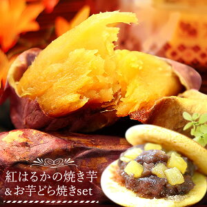 ݁IĂ͂邩3{ƂǂĂ3̂Zbg lCXC[clߍ킹 ₵Ă Ă Y g͂邩 ܂ ǂ XC[c aَq َq Hו  